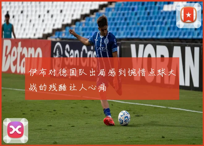 伊布对德国队出局感到惋惜点球大战的残酷让人心痛